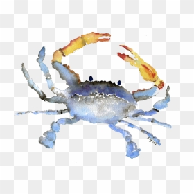 Cornelius The Crab Watercolor - Watercolor Crab Png, Transparent Png - crabs png