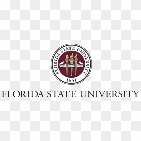 Official Florida State University Logo, HD Png Download - florida state png