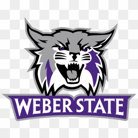 Wildcat Svg Logo - Weber State University Mascot, HD Png Download - wildcat logo png