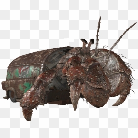 Dlc03 Enchermitcrab02 - Insect, HD Png Download - crabs png