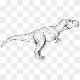 Jurassic Park T Rex Coloring Pages To Print - Jurassic World T Rex Coloring Page, HD Png Download - indominus rex png