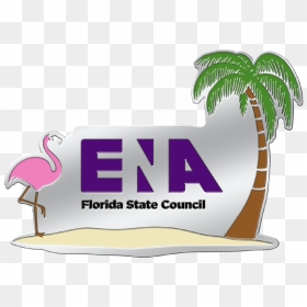 Greater Flamingo, HD Png Download - florida state png