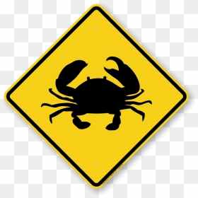 Mud Crab Kerala, HD Png Download - crabs png