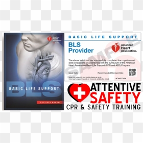 Basic Life Support Instructor Manual, HD Png Download - american heart association logo png