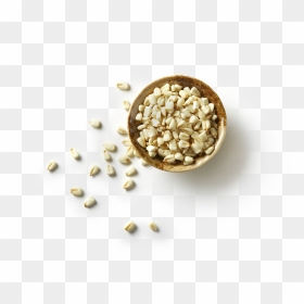 Hominy Png, Transparent Png - pozole png