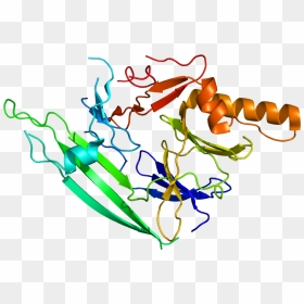 Protein Ern1 Pdb 2hz6 - Protein Png, Transparent Png - turtwig png