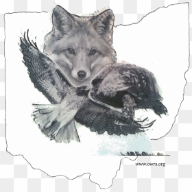 Seppala Siberian Sleddog, HD Png Download - ohio shape png