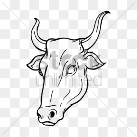 Transparent Ox Clipart, HD Png Download - ox png