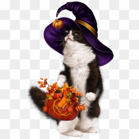 Transparent Sexy Halloween Png - Kitten, Png Download - haloween png