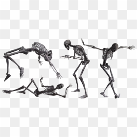 Animated Dancing Skeleton Transparent, HD Png Download - halloween skeleton png