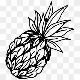 Pineapple Clipart For Drawing, HD Png Download - pineapple .png