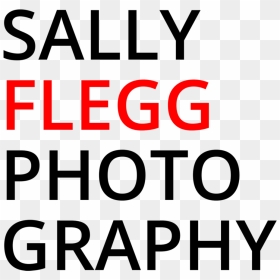 Sally Flegg Photography - Circle, HD Png Download - mcgregor png