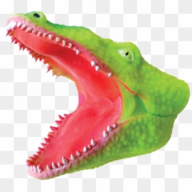 Transparent Alligator Head Png - Alligator Puppet Rubber, Png Download - alligator head png