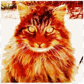 Barack The Cat Says Happy Birthday To Zelda Clip Arts - Cat, HD Png Download - happy cat png