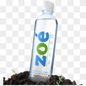 Thumb Image - Zoe Water Png, Transparent Png - zoe png