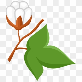 Illustration, HD Png Download - cotton plant png