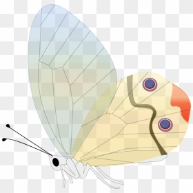 Butterflies, HD Png Download - butterfly .png