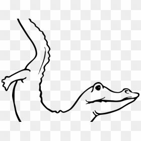 Drawn Head Alligator - Nyambek Kartun, HD Png Download - alligator head png
