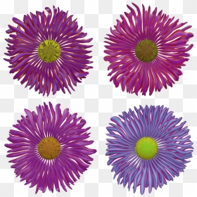 Flower 5 4e - Illustration, HD Png Download - aster png