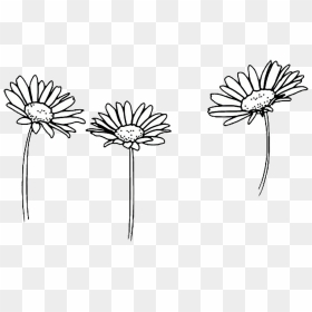 Amazing Flower Tumblr Castrophotos Clipart , Png Download - Cute Black And White Drawings, Transparent Png - daisy png tumblr