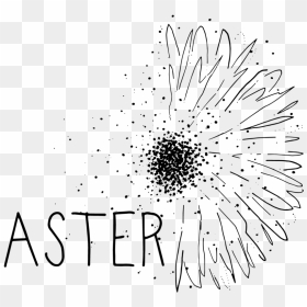 Aster , Png Download, Transparent Png - aster png