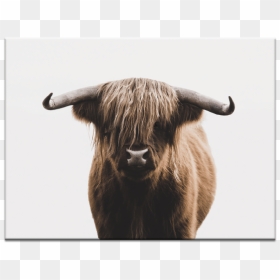 Plakat Krowy, HD Png Download - bull horn png