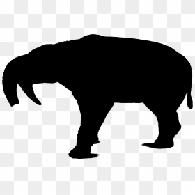 Wolf Silhouette Indian Elephant Bear Art - Angry Wolf Silhouette Png, Transparent Png - wolf art png
