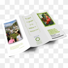 Tri Fold Brochure Mock-up Template, HD Png Download - outside png