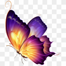 September Clipart Butterfly - Transparent Images Of Butterflies, HD Png Download - butterfly .png