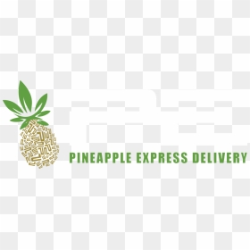 Pineapple Express Final Logo White - Pineapple Express Delivery, HD Png Download - pineapple .png