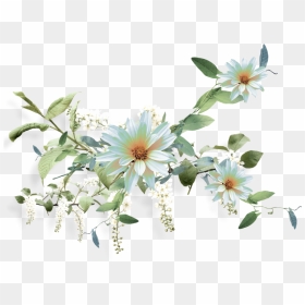 Фотки Nurcan Cüceoğlu/emeksensin - Png Download Render Flowers, Transparent Png - aster png