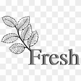 Stawberry Fresh Fruit Png Icons - Leaves Clipart Black And White, Transparent Png - fresh png