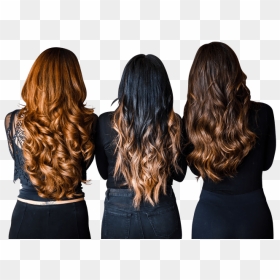 Denver"s Best Hair Extensions Salon - Basic Hair Knowledge, HD Png Download - hair extensions png
