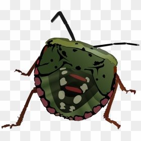 Bug Clip Art, HD Png Download - stink png