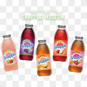Snapple Peach Tea, 16 Fl Oz Glass Bottles, 12 Pack - Orange Soft Drink, HD Png Download - snapple logo png