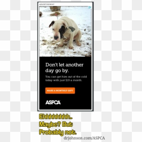 Aspca Ad - Staffordshire Bull Terrier, HD Png Download - aspca logo png