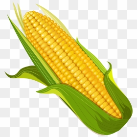 0 D9f87 59264cb8 Orig - Elote Png, Transparent Png - elote png