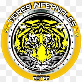 Transparent Tigres Png - Tiger, Png Download - tigre png