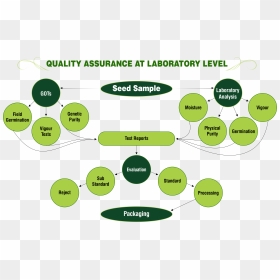 Quality Assurance At Laboratory Level - Quality Assurance In Laboratory, HD Png Download - laboratory png
