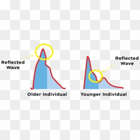 Pulse Wave Velocity Explained, HD Png Download - heart pulse png