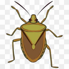 Brown Marmorated Stink Bug Clipart - Clip Art Stink Bug, HD Png Download - stink png