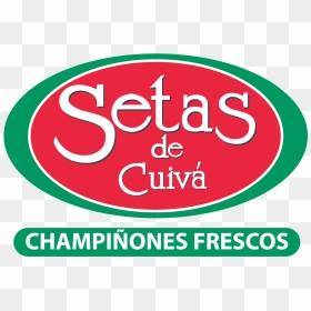 Setas De Cuivá - Setas De Cuiva, HD Png Download - setas png