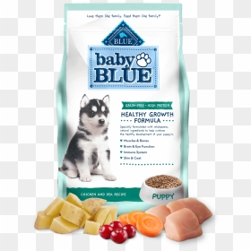 Baby Blue Puppy High Protein, Grain Free Chicken & - Baby Blue Buffalo Dog Food, HD Png Download - baby chicken png