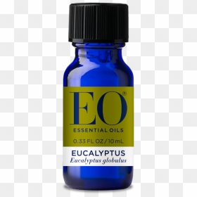Essential Oil, HD Png Download - eucalyptus tree png
