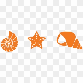 Sea Shells - Sticker, HD Png Download - volunteer icon png