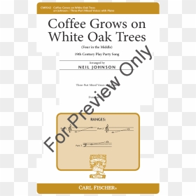 Oak Trees Thumbnail - Poster, HD Png Download - oak trees png