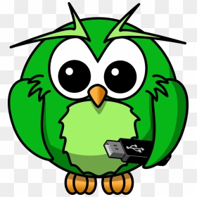 Cartoon Owl Clipart - Owl Cartoon, HD Png Download - owl clip art png