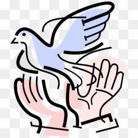 Vector Illustration Of Hands Release Symbolic Dove - Dove Release Transparent, HD Png Download - dove vector png