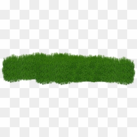 Grass Green Plant Green Grass Nature Summe - Garden Lawn Transparent Png, Png Download - grass plant png