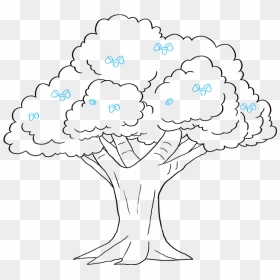 How To Draw Oak Tree - Line Art, HD Png Download - oak trees png